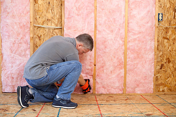 Best Cellulose Insulation in USA